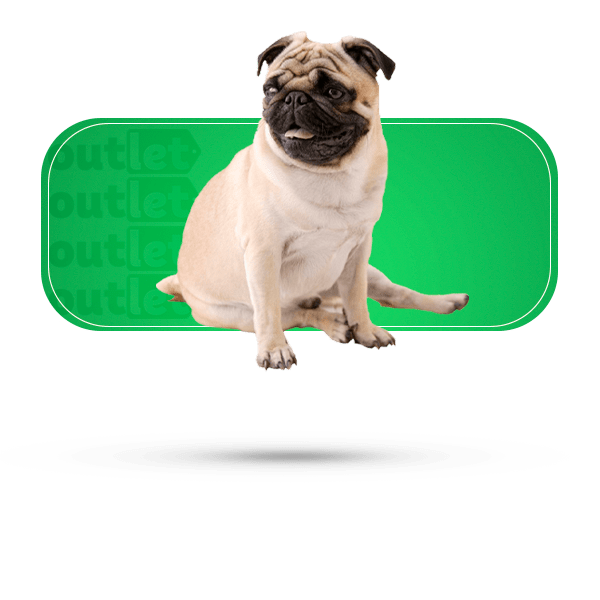 petshop